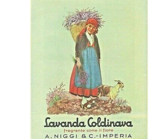 ACCADDE OGGI, 23 GENNAIO 1980. L’agonia delle industrie imperiesi Niggi e Lancaster a un passo dalla chiusura