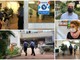 Green pass a scuola: nuova protesta della bidella del 'Ruffini', intervengono i Carabinieri. Il preside Ronco minacciato dai 'no vax' (foto e video) Green pass a scuola: nuova protesta della bidella del 'Ruffini', intervengono i Carabinieri. Il preside Ronco minacciato dai 'no vax' (foto e video)