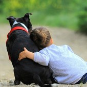 Realizzato il desiderio di una bambina malata: visita tra gli animali grazie al volontariato