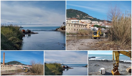 Imperia, al via gli interventi di ripascimento delle spiagge onegliesi (foto e video) Imperia, al via gli interventi di ripascimento delle spiagge onegliesi (foto e video)