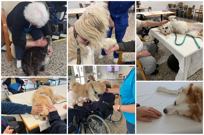 L'associazione Pet Team porta la pet therapy nelle case di riposo