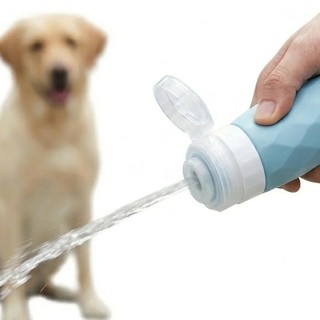 Imperia, fermata dai vigili a cinque metri da casa con il cane senza bottiglietta: multa da 300 euro