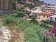 Imperia, il Caramagna invaso dalla vegetazione: residenti della Fondura preoccupati Imperia, il Caramagna invaso dalla vegetazione: residenti della Fondura preoccupati