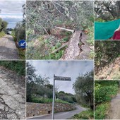 Imperia, via Strato a rischio cedimento. Una residente: "La situazione è tragica" (foto e video) Imperia, via Strato a rischio cedimento. Una residente: "La situazione è tragica" (foto e video)