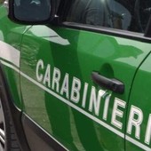 Parco Eolico Monti Moro – Guardiabella, la Forestale di Imperia controlla i crinali