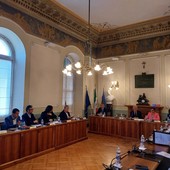 Consiglio provinciale, disavanzo investito nel patrimonio immobiliare dell'Ente (video)