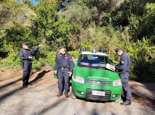 L'iniziativa dei Carabinieri Forestali per la Giornata Nazionale degli Alberi