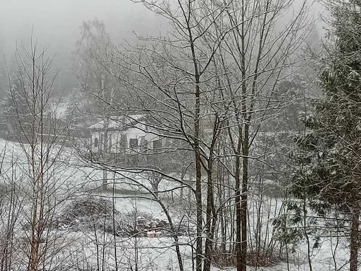 Neve fuori stagione al Colle di Nava (foto)