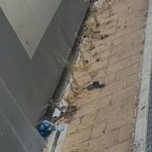 Imperia, il Pd segnala il degrado di via San Pio da Pietrelcina: "Servono interventi per garantire sicurezza e decoro"