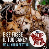 Il Festival di Yulin condanna ogni anno migliaia di cani a una fine atroce Il Festival di Yulin condanna ogni anno migliaia di cani a una fine atroce