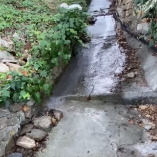 A Diano Gorleri spreco d'acqua potabile denunciato dai residenti