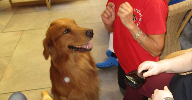 A Imperia un corso per diventare volontari della pet therapy