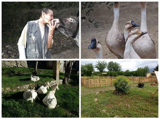 L’aviaria complica i piani di Cinzia e dei suoi 100 animali: “Avevamo trovato ospitalità in Toscana, ma ora è tutto bloccato”