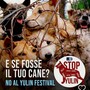 Il Festival di Yulin condanna ogni anno migliaia di cani a una fine atroce