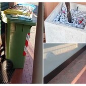 Imperia, in via XXV Aprile il degrado a due passi dal centro Imperia, in via XXV Aprile il degrado a due passi dal centro