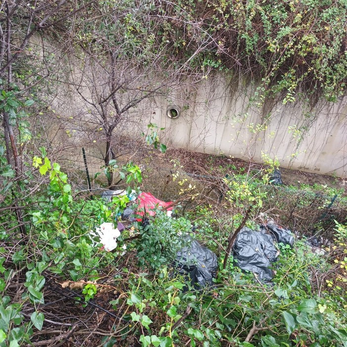 Degrado ambientale a Baitè, la consigliera Bozzano (Pd) chiede interventi urgenti Degrado ambientale a Baitè, la consigliera Bozzano (Pd) chiede interventi urgenti