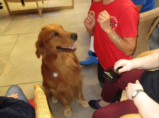 A Imperia un corso per diventare volontari della pet therapy