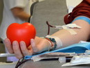Donare il sangue prima di partire, l’appello dell’Asl 1 agli imperiesi