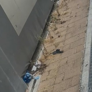Imperia, il Pd segnala il degrado di via San Pio da Pietrelcina: "Servono interventi per garantire sicurezza e decoro"