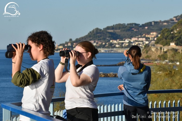 Ritorno a terra per i biologi di Delfini del Ponente di Imperia, riprendono i monitoraggi dalla passeggiata