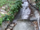 A Diano Gorleri spreco d'acqua potabile denunciato dai residenti