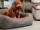 Sanremo, weekend “Cuccioloso&Family” da Divani&Divani: attività gratuite per i tuoi animali, ma affrettati a prenotare! Sanremo, weekend “Cuccioloso&Family” da Divani&Divani: attività gratuite per i tuoi animali, ma affrettati a prenotare!
