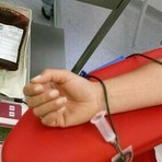 Diano Marina celebra la Giornata Mondiale del Donatore di Sangue Diano Marina celebra la Giornata Mondiale del Donatore di Sangue