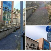 Non solo l'area dell'ex Isnardi: degrado anche nel passaggio accanto al Tribunale