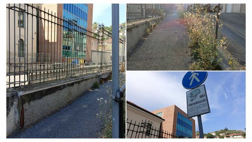 Non solo l'area dell'ex Isnardi: degrado anche nel passaggio accanto al Tribunale Non solo l'area dell'ex Isnardi: degrado anche nel passaggio accanto al Tribunale
