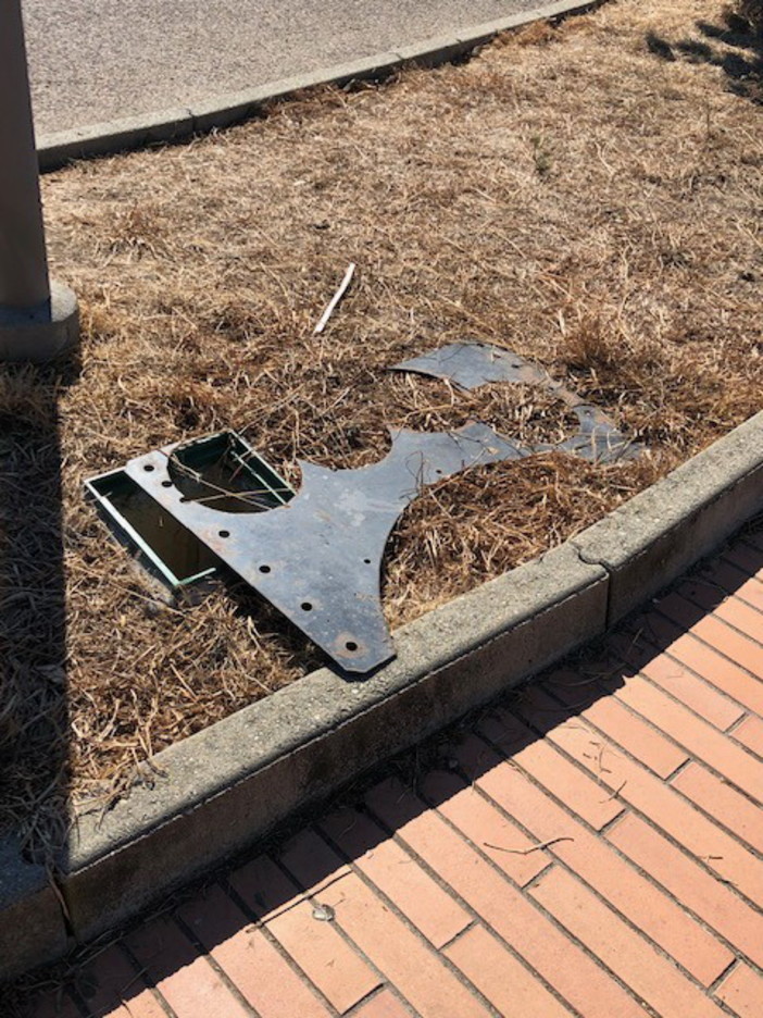 Imperia: passeggiata tra erbacce al Parco Urbano, l'appello al Sindaco di Tommy e Fabio (video) Imperia: passeggiata tra erbacce al Parco Urbano, l'appello al Sindaco di Tommy e Fabio (video)