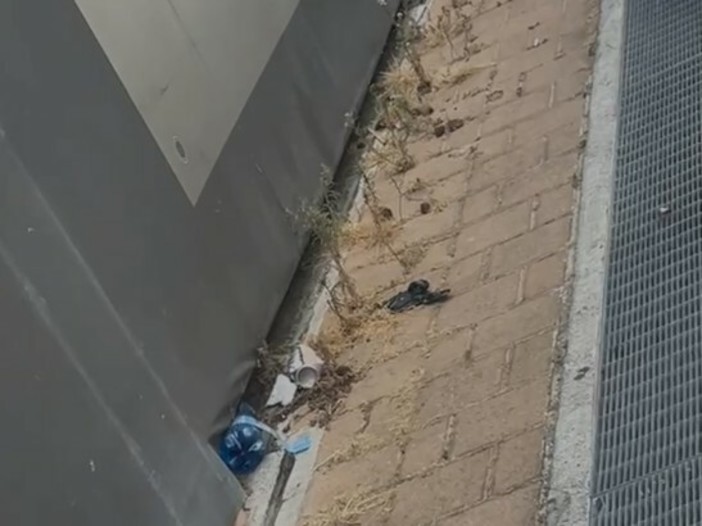 Imperia, il Pd segnala il degrado di via San Pio da Pietrelcina: "Servono interventi per garantire sicurezza e decoro" Imperia, il Pd segnala il degrado di via San Pio da Pietrelcina: "Servono interventi per garantire sicurezza e decoro"