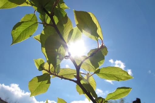 Attivazione e spegnimento del contatore gratuiti con eVISO Attivazione e spegnimento del contatore gratuiti con eVISO