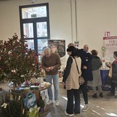 Un weekend di fiori, vento, cultura e meraviglia: la Riviera dei Fiori si accende tra sfilate, musica, spettacoli e tradizioni di primavera
