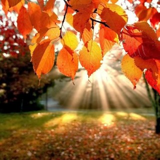 Equinozio d'Autunno oggi alle ore 20.19