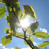 Attivazione e spegnimento del contatore gratuiti con eVISO Attivazione e spegnimento del contatore gratuiti con eVISO