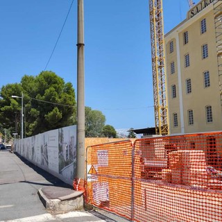 Ex Sairo, i cittadini chiedono verifiche sull'abbattimento dei pini: coinvolte le associazioni ambientaliste