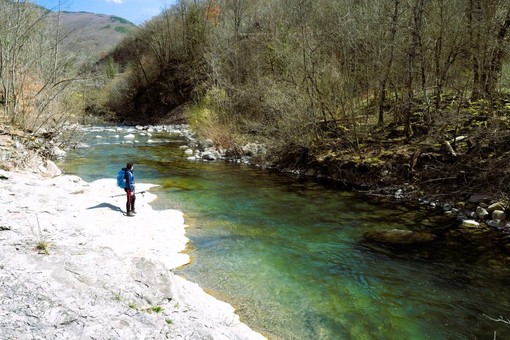 ACCADDE OGGI, 30 MAGGIO 1980. Decalogo green dell’Ente Provinciale Turismo per difendere e tutelare flora e fauna di boschi, colline ed entroterra imperiesi ACCADDE OGGI, 30 MAGGIO 1980. Decalogo green dell’Ente Provinciale Turismo per difendere e tutelare flora e fauna di boschi, colline ed entroterra imperiesi