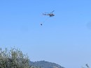 Incendio di Diano San Pietro, fiamme di probabile origine dolosa Incendio di Diano San Pietro, fiamme di probabile origine dolosa
