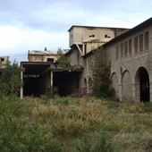 Imperia, sopralluogo di Ruggieri all'ex Italcementi: "Area bella ma troppo stretta per lo stadio" Imperia, sopralluogo di Ruggieri all'ex Italcementi: "Area bella ma troppo stretta per lo stadio"
