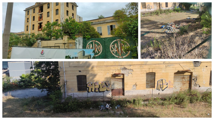 Imperia, topi e rifiuti in attesa che la riqualificazione dell’ex Sairo decolli Imperia, topi e rifiuti in attesa che la riqualificazione dell’ex Sairo decolli