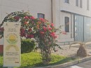 Imperia ritrova il suo... 'Equilibrio': inaugurato il festival dedicato al benessere psicofisico