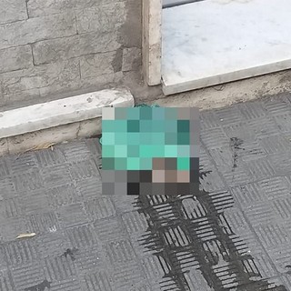 Imperia: il Forum Ligure del Terzo Settore contro le minacce razziste nei confronti di chi opera per l’accoglienza e l’integrazione Imperia: il Forum Ligure del Terzo Settore contro le minacce razziste nei confronti di chi opera per l’accoglienza e l’integrazione