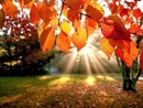 Equinozio d'Autunno oggi alle ore 20.19 Equinozio d'Autunno oggi alle ore 20.19