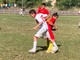 Calcio, domani tornano in campo i 'Pulcini 2000&quot; della 'Vallecrosia Academy'