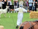 Mendatica celebra le sue tradizioni con il Corteo storico delle Malghe e il Palio delle capre Mendatica celebra le sue tradizioni con il Corteo storico delle Malghe e il Palio delle capre