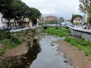 Goletta Verde, a Diano Marina mare inquinato: allarme alla foce del torrente San Pietro