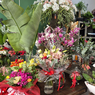 Un mazzo di rose per San Valentino: il tradizionale dono degli imperiesi per la festa degli innamorati