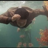 Corvo o cornacchia? Cronache fantozziane dalla Repubblica &quot;democratica&quot; di Imperia