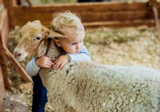 Fattorie Aperte 2023 Fattorie Aperte 2023