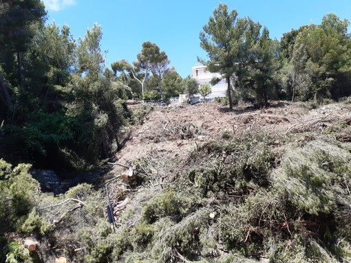 Frana a Cervo, la riapertura dell'Aurelia non avverrà in tempi brevi. Oggi il sopralluogo di tecnici e ditta incaricata dei lavori (foto)